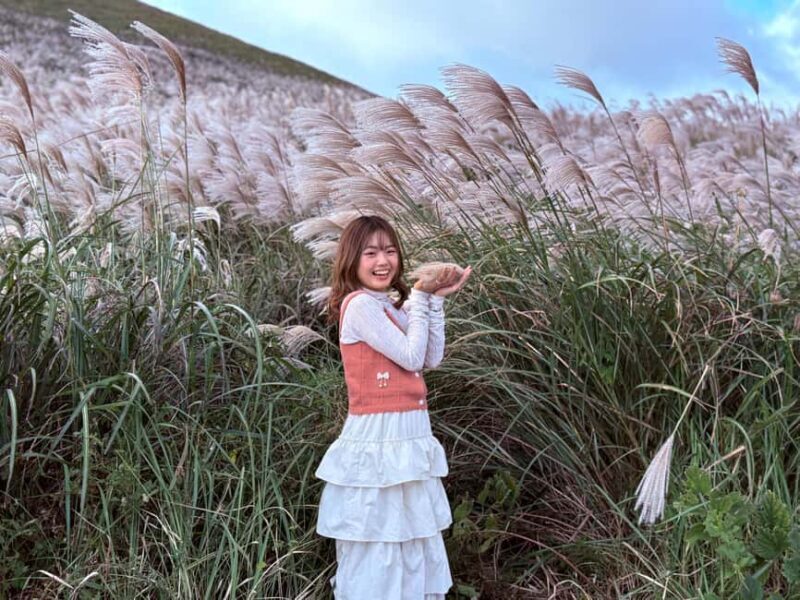 Jeju: Small Group Tour w/Pink Muhly & Tangerine Picking - Discovering Jeju’s Fall Colors and Natural Wonders