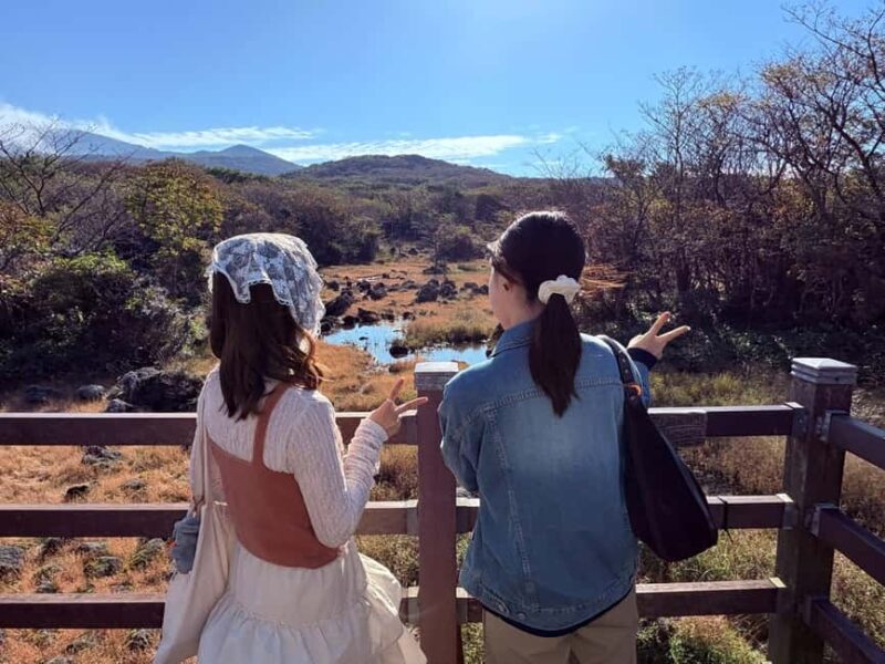 Jeju: Small Group Tour w/Pink Muhly & Tangerine Picking - Practical Details and What to Expect