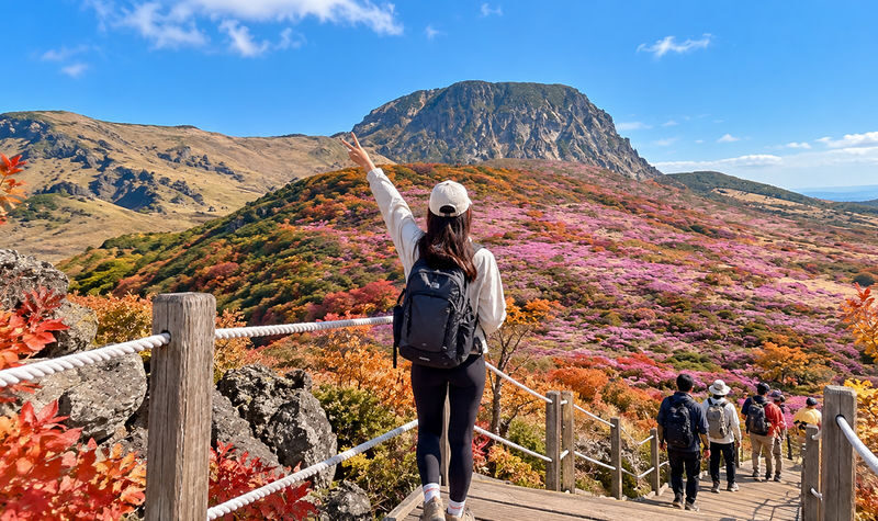 Jeju South Euphoria: UNESCO Sites Full-Day Tour - A South Jeju day built around scenery