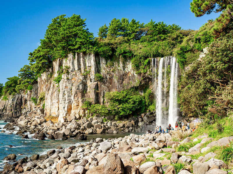 Jeju South Euphoria: UNESCO Sites Full-Day Tour - Who should book this Jeju tour?