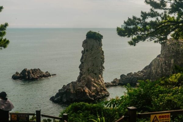 Jeju South: Healing UNESCO Small Group Day Tour - Customer Reviews