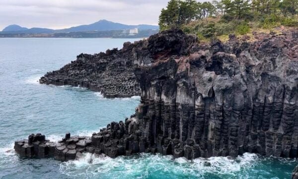 Jeju South: Healing UNESCO Small Group Day Tour - Booking Information