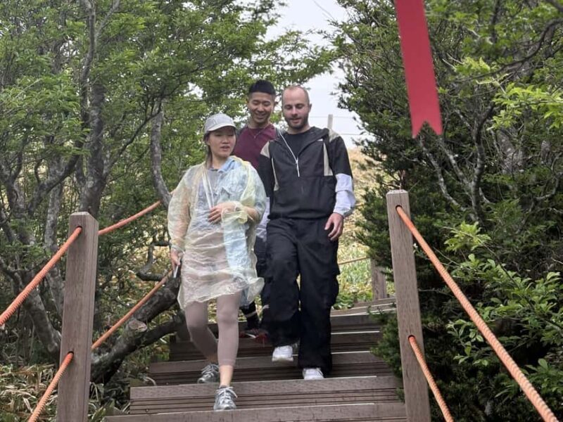 Jeju South: Small Group Healing Tour w/Mt.Halla & Olle Trail - FAQs