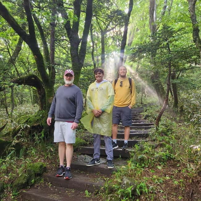 Jeju: Southern Top UNESCO Spots Tour - Early Morning Pick-ups & Start of the Day