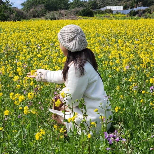 Jeju: Southern Top UNESCO Spots Tour - Final Thoughts