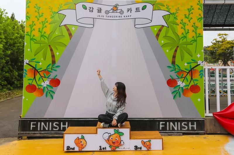 Jeju Tangerine Kart Pass - Family rules and who can drive