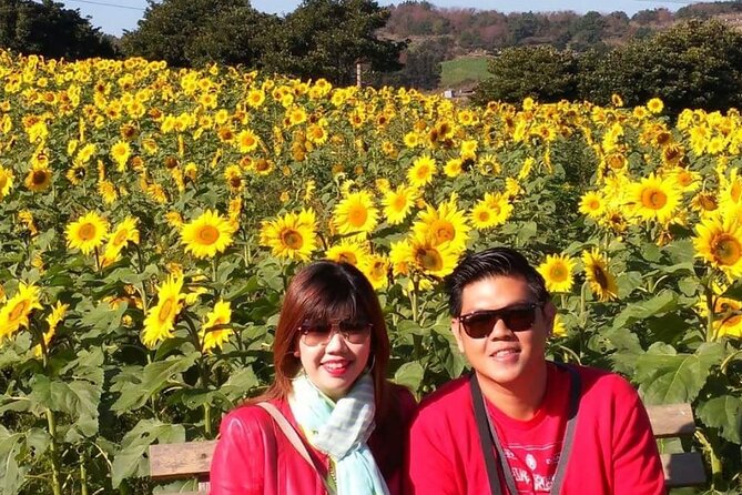Jeju Taxi Tour - Couple Package (East & South or West & South) - The Sum Up
