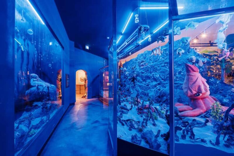 Jeju: Teddy Bear House TESEUM Entry Ticket - Good To Know