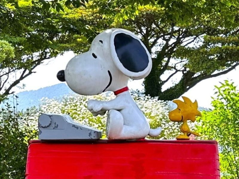 Jeju Trendy Café Tour with Snoopy, Hello Kitty, Teddy Bear & Totoro - Rainbow road, lighthouses and the first sea views