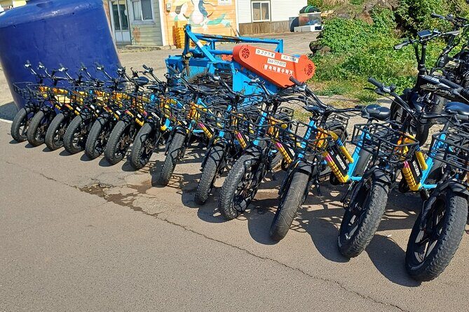 Jeju Udo Electric Bike and Seongsan Ilchulbong Private Tour - Practical Details and Value