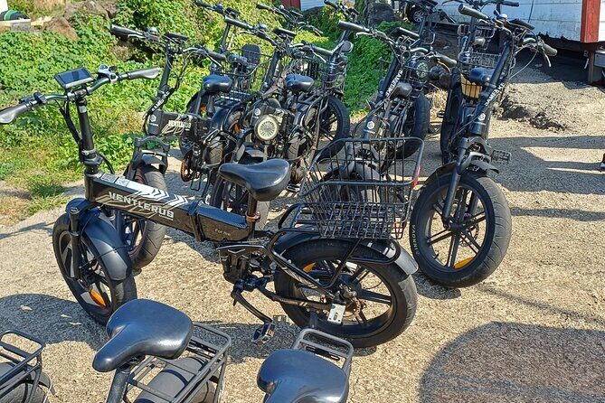 Jeju Udo Electric Bike and Seongsan Ilchulbong Private Tour - Who Will Love This Tour?