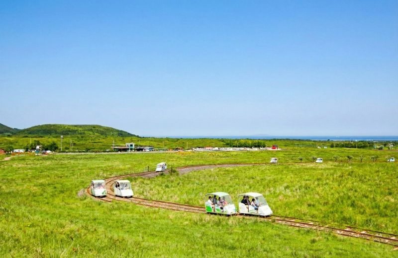 Jeju: Udo Island & UNESCO East Coast Highlights - What the guides add to the day