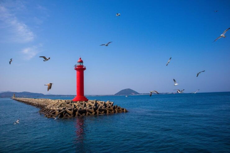 Jeju UNESCO Attractions Full-Day Tour With Daily Chauffeur - Pickup and Transportation Details