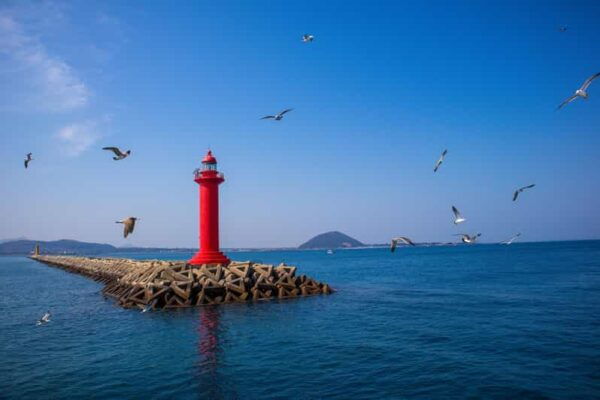 Jeju UNESCO Attractions Full-Day Tour With Daily Chauffeur - Chauffeur Experience and Flexibility