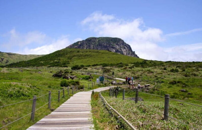 Jeju: UNESCO Day Tour for Cruise Guests - Mount Halla National Park, Korea’s Highest Peak
