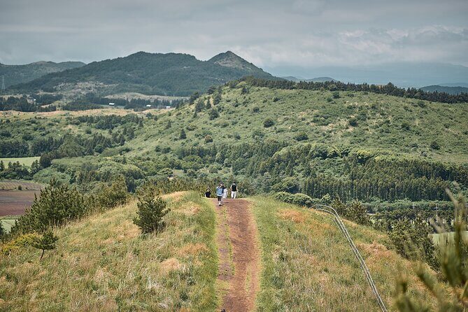 Jeju UNESCO Eco Trek  Full Day Private Nature & Culture Tour - Final Thoughts