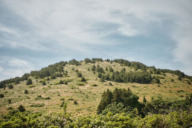 Jeju UNESCO Eco Trek  Full Day Private Nature & Culture Tour - FAQ