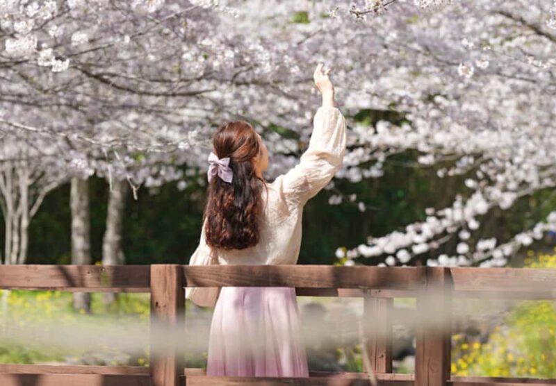 Jeju: UNESCO Heritage Sites Authentic Day Tour(Western) - Good To Know