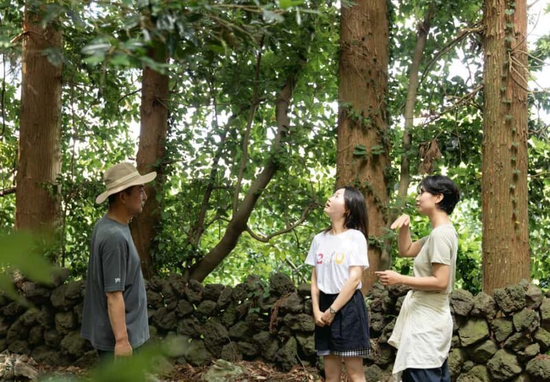 Jeju: UNESCO-Listed Southern Authentic Day Tour - Good To Know