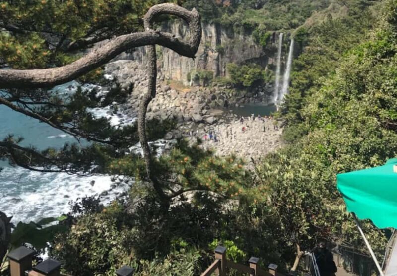 Jeju: UNESCO-Listed Southern Authentic Day Tour - Final Thoughts