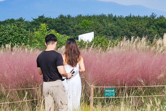 Jeju: UNESCO-Listed Southern Authentic Day Tour - Exploring Jeju with a Well-Balanced Itinerary