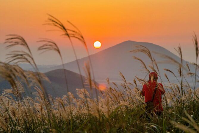 Jeju: UNESCO-Listed Southern Authentic Day Tour - FAQ