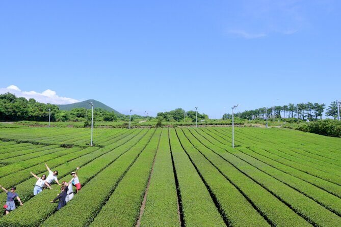 Jeju: UNESCO-Listed Southern Authentic Day Tour - FAQ