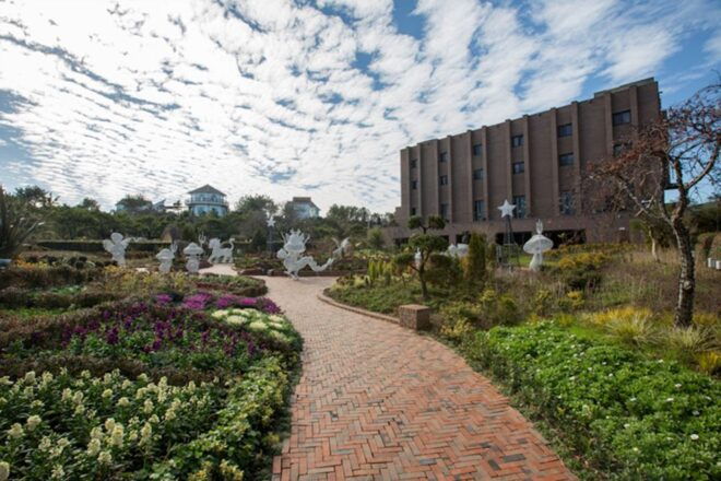 Jeju: UNESCO Sites & Sunrise Peak Hiking Small Group Tour - Additional Information
