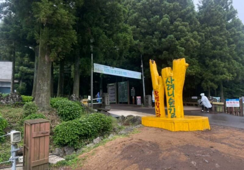 Jeju: UNESCO Sites Tour with Haenyeo Show(Eastern) - Considerations and Tips