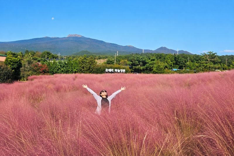Jeju: UNESCO South & East Highlights 2 Days Combo Tour - What the guides add
