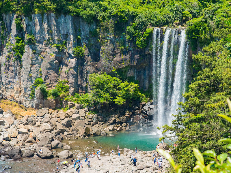 Jeju: UNESCO South & East Highlights 2 Days Combo Tour - Who should book this tour?