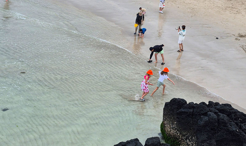 Jeju: UNESCO WestSouth & East Highlights 2 Days Combo Tour - Who should book this Jeju combo?