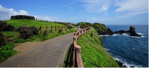 Jeju VIP Private Day Tour (East/West/South/North) - What the eastern route gives you in one day