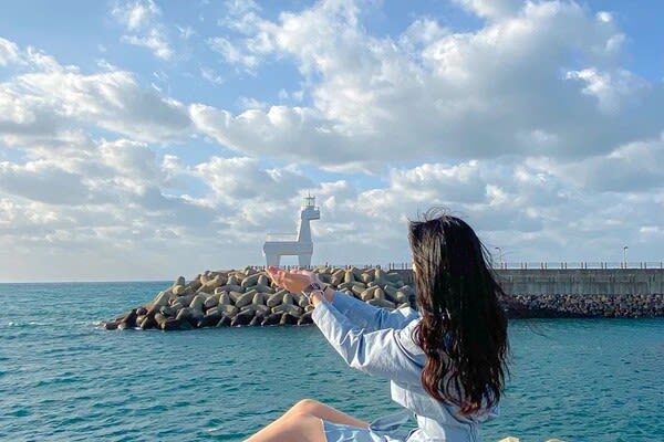 Jeju VIP Private Day Tour (East/West/South/North) - Choosing east, south, west, or north