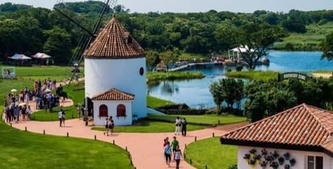 Jeju VIP Private Day Tour (East/West/South/North) - Pickups, luggage, and weather planning