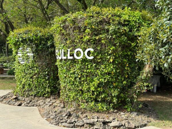 Jeju West: Healing UNESCO Small Group Day Tour - Customer Feedback