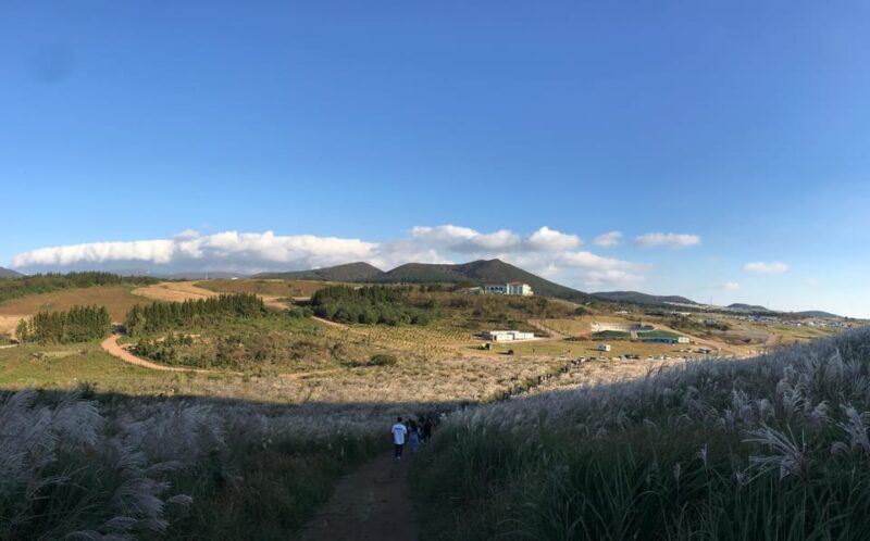 Jeju: West of Jeju Island Bus Tour from Seogwipo City - FAQ