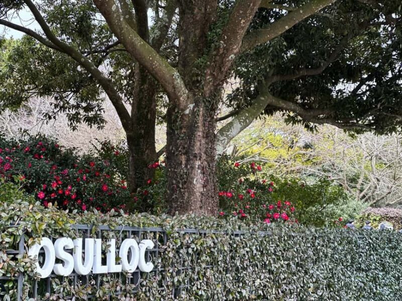 Jeju West: Small Group Healing Tour w/Caves & Dolphins - Practical Details: What to Know Before Booking