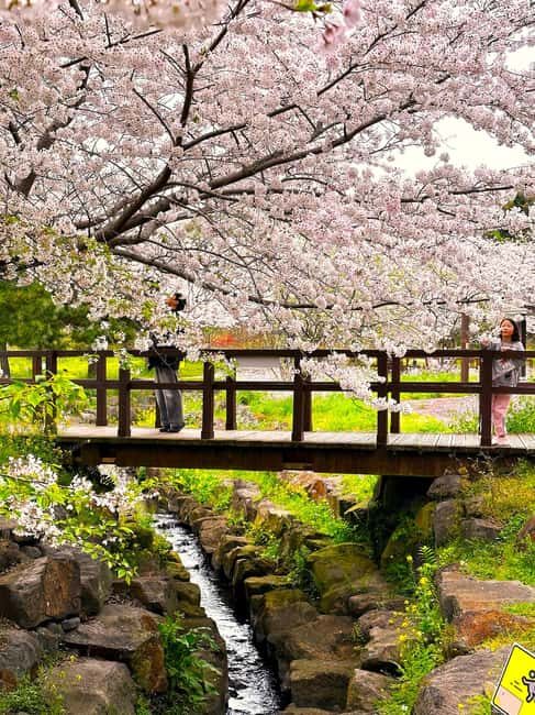 Jeju West Small Group Tour Cherry Blossom Strawberry Picking - Who Will Enjoy This Tour Most?