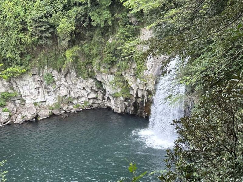 Jeju West Small Group Tour Cherry Blossom Strawberry Picking - FAQs