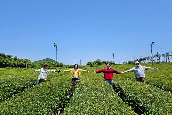 Jeju West Small Group Tour with Lunch and Tangerine Picking - Final Thoughts