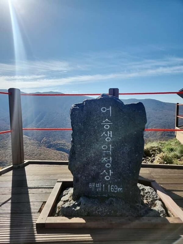 Jeju: West South Spring Canola & UNESCO Tour & Hotel Pick-up - Frequently Asked Questions