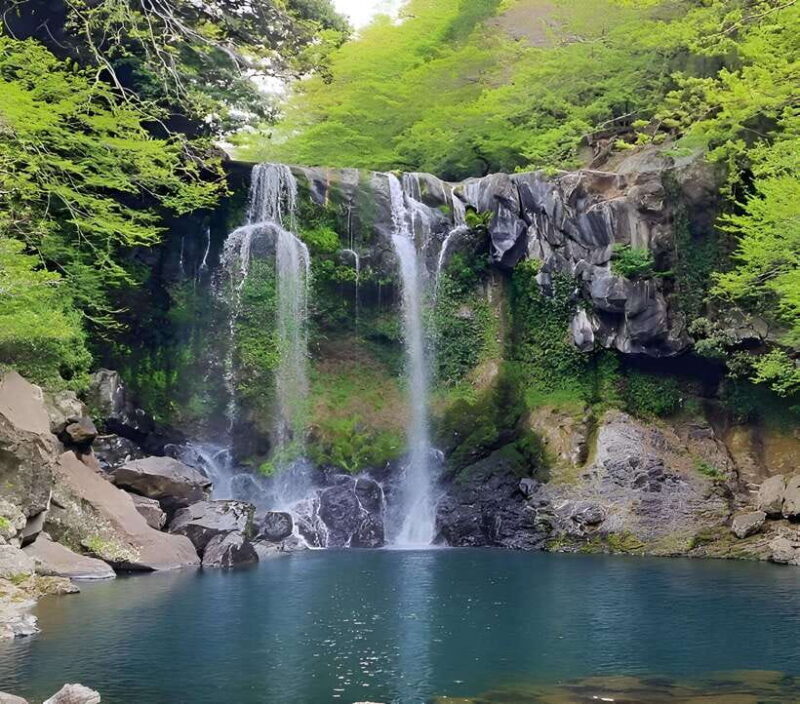 Jeju Western & Sothern : Hydrangea Festival Tour - FAQ