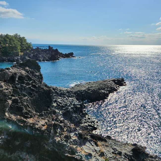 Jeju Western & Sothern : Hydrangea Festival Tour - Who Should Consider This Tour?