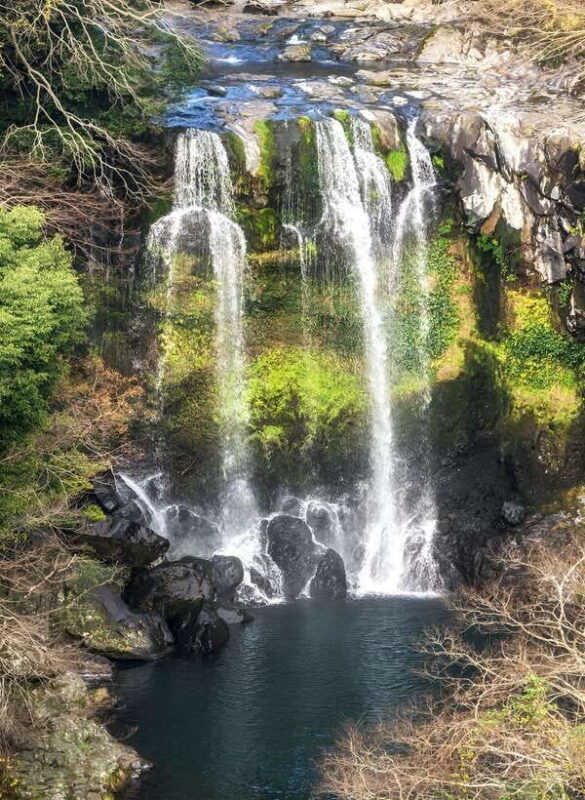 Jeju Western & Sothern : Hydrangea Festival Tour - FAQ