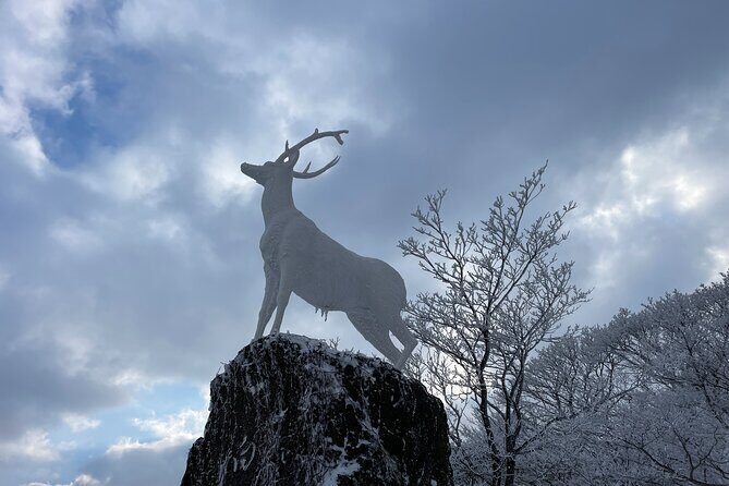 Jeju WEST&SOUTH One Day Tour with MT.halla & UNESCO - Who Will Love This Tour?