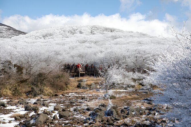 Jeju WEST&SOUTH One Day Tour with MT.halla & UNESCO - Final Thoughts
