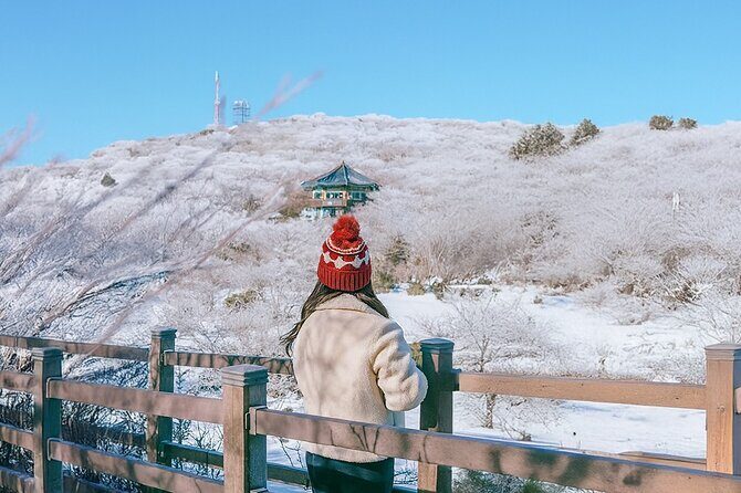 Jeju WEST&SOUTH One Day Tour with MT.halla & UNESCO - Who Would Love This Tour?