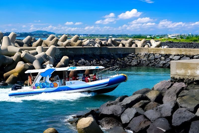 Jeju Wild Indo-Pacific Bottlenose Dolphin Watching Speedboat Tour - Searching Jeju’s southern waters