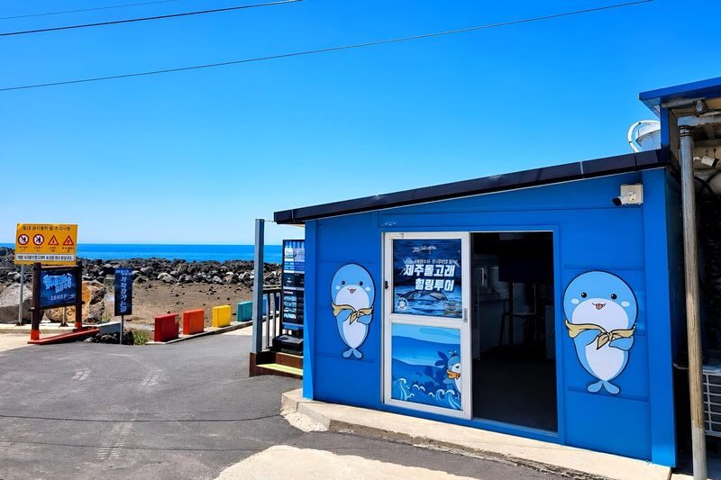 Jeju Wild Indo-Pacific Bottlenose Dolphin Watching Speedboat Tour - Who will enjoy this trip